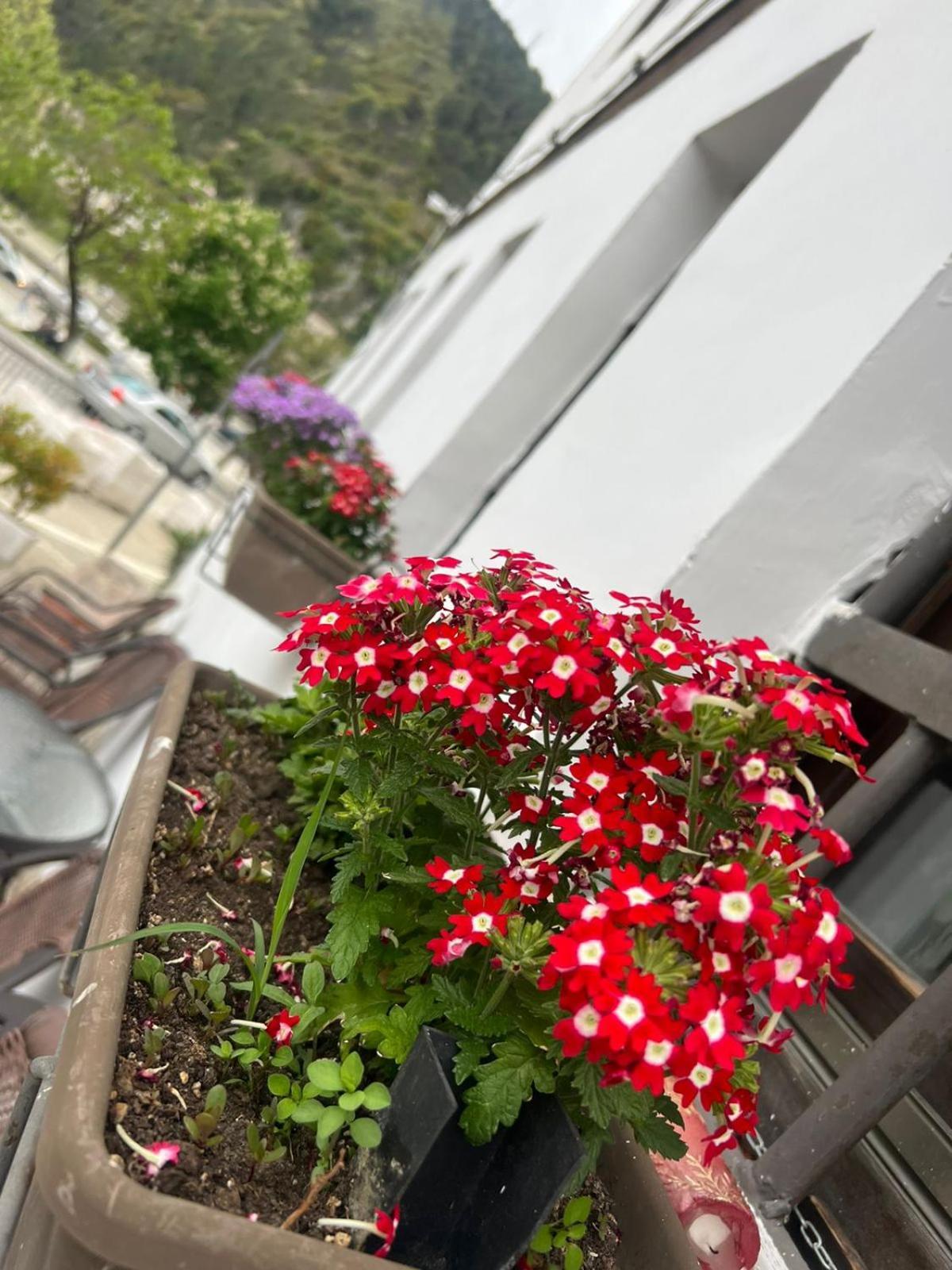 Hotel Omer Berat Cameră foto